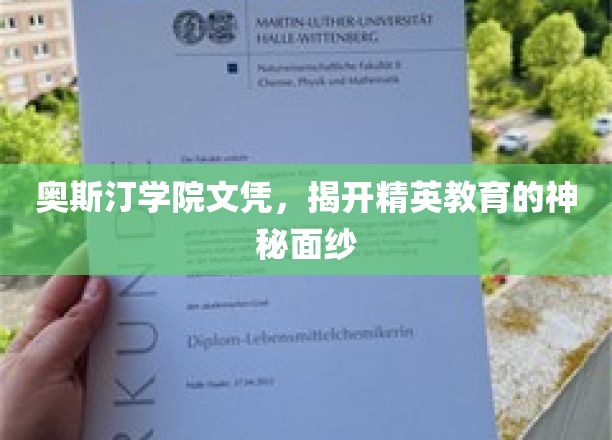 奥斯汀学院文凭，揭开精英教育的神秘面纱