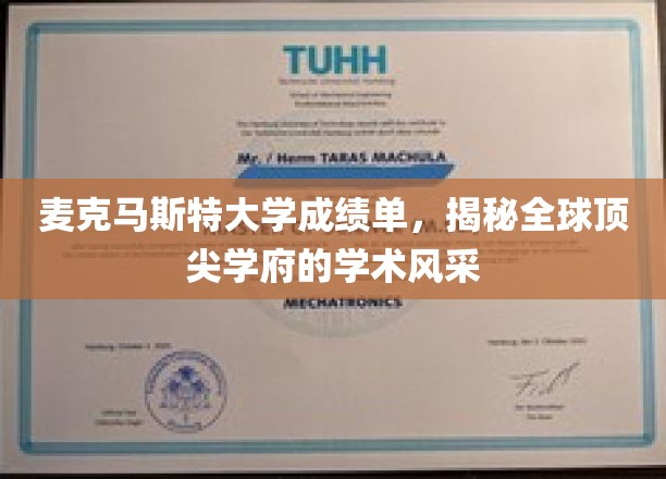 麦克马斯特大学成绩单，揭秘全球顶尖学府的学术风采