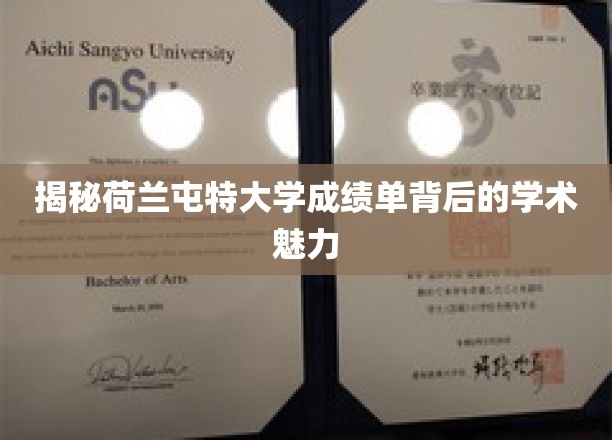 深入解析荷兰屯特大学成绩单背后的学术魅力
