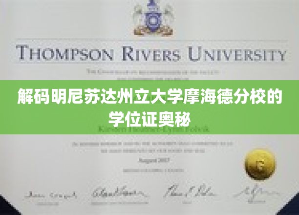解码明尼苏达州立大学摩海德分校的学位证奥秘