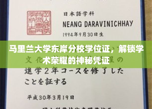 马里兰大学东岸分校学位证，解锁学术荣耀的神秘凭证