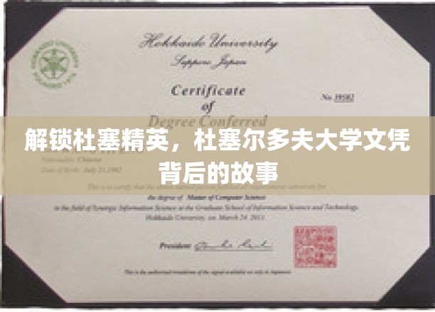 解锁杜塞精英，杜塞尔多夫大学文凭背后的故事