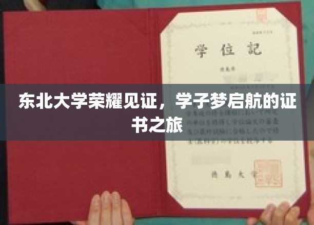 东北大学荣耀见证，学子梦启航的证书之旅
