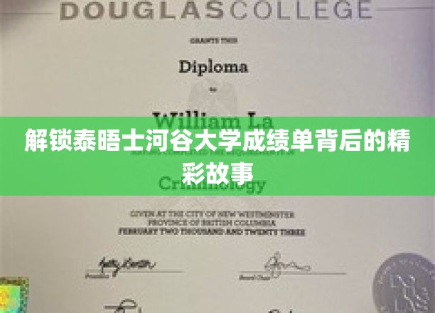 探索泰晤士河谷大学成绩单背后的精彩故事