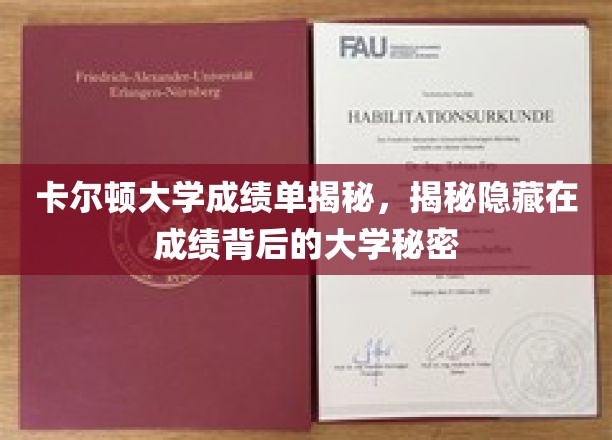 卡尔顿大学成绩单揭秘，揭秘隐藏在成绩背后的大学秘密