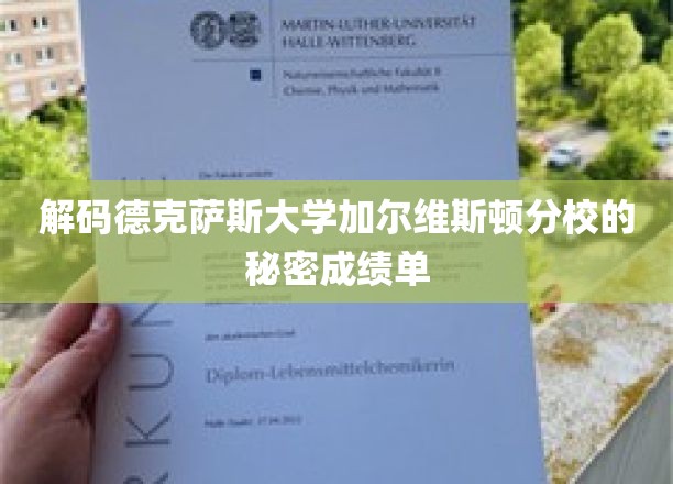 解码德克萨斯大学加尔维斯顿分校的秘密成绩单