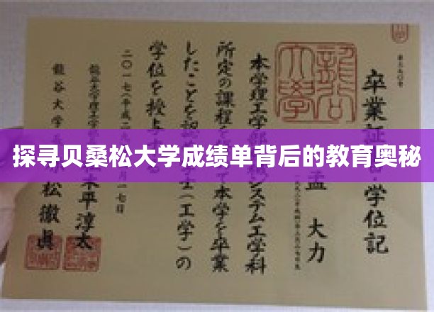 揭秘贝桑松大学成绩单背后的教育奥秘
