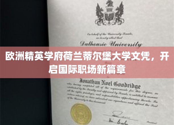 欧洲精英学府荷兰蒂尔堡大学文凭，开启国际职场新篇章