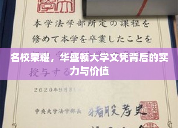名校荣耀，华盛顿大学文凭背后的实力与价值
