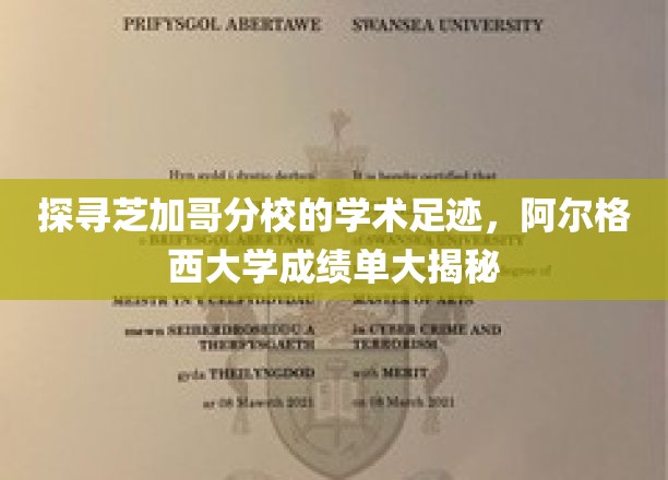 探寻芝加哥分校的学术足迹，阿尔格西大学成绩单大揭秘