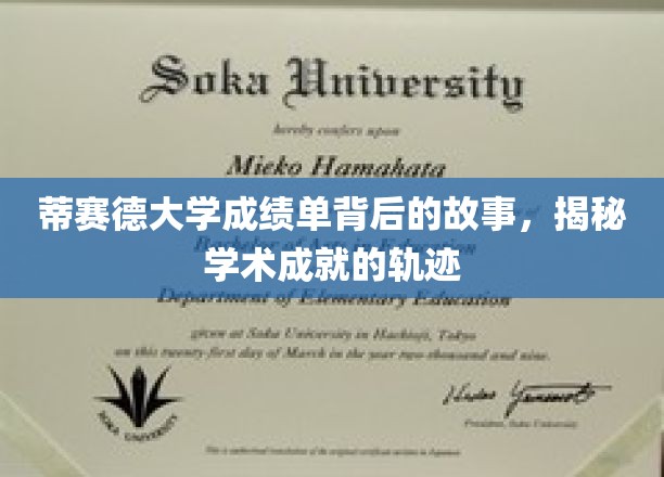 蒂赛德大学成绩单背后的故事，揭秘学术成就的轨迹