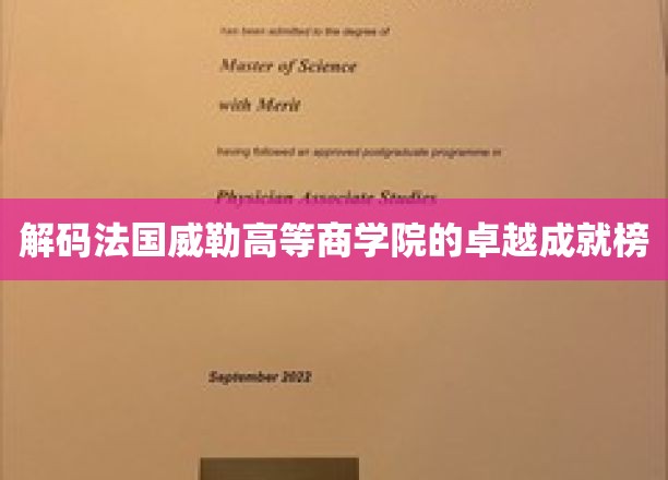 解码法国威勒高等商学院的卓越成就榜