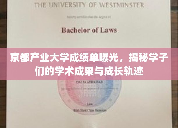 京都产业大学成绩单大揭秘，展现学子们的学术成就与成长轨迹