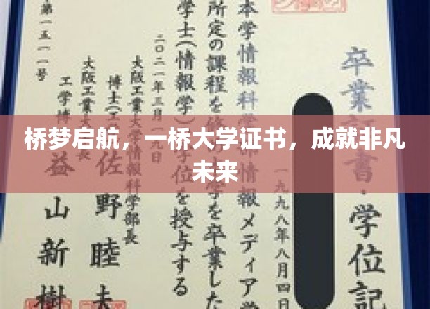 桥梦启航，一桥大学证书，成就非凡未来