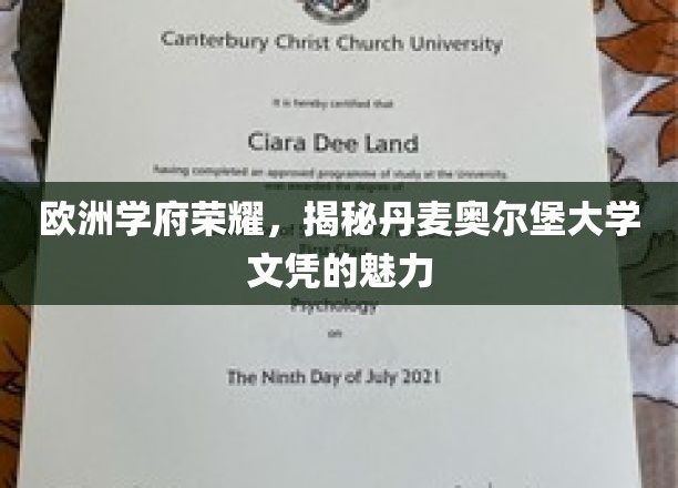 欧洲学府荣耀，丹麦奥尔堡大学文凭的魅力一瞥