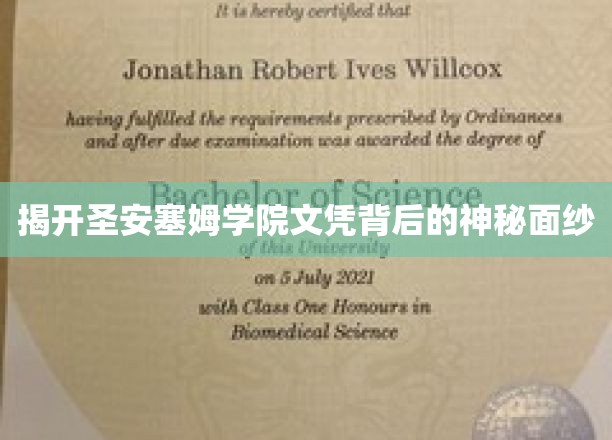 揭开圣安塞姆学院文凭背后的神秘面纱