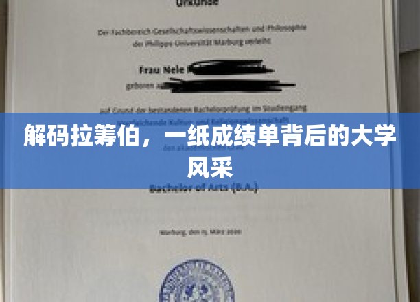 解码拉筹伯，一纸成绩单背后的大学风采