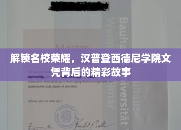 解锁名校荣耀，汉普登西德尼学院文凭背后的精彩故事