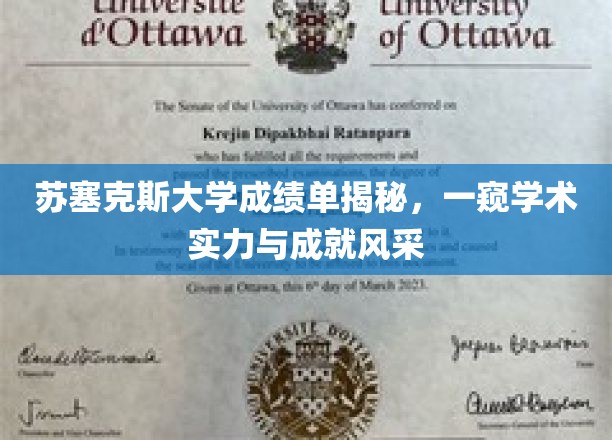苏塞克斯大学成绩单揭秘，一窥学术实力与成就风采