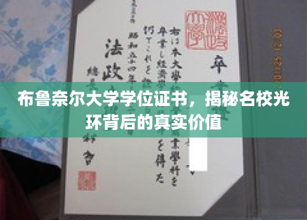 布鲁奈尔大学学位证书，探寻名校背后的真实价值