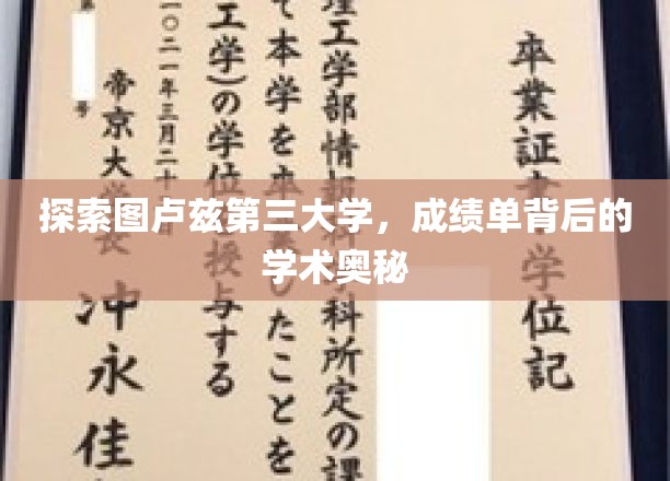 探索图卢兹第三大学，成绩单背后的学术奥秘