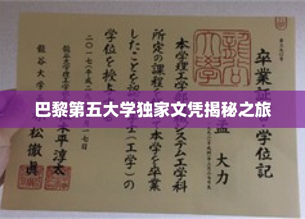 巴黎第五大学独家文凭揭秘之旅