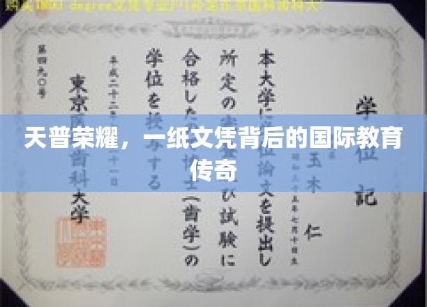 天普荣耀，一纸文凭背后的国际教育传奇