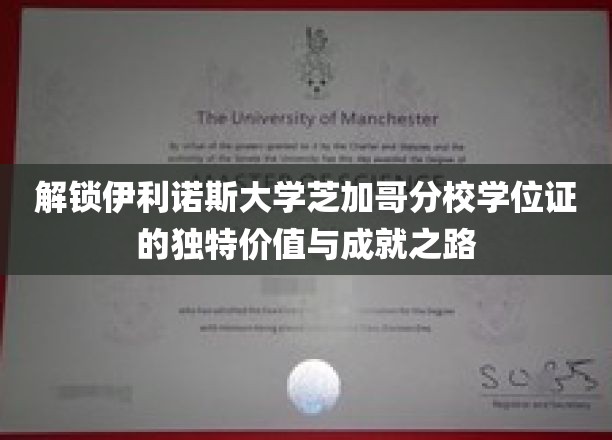 深入解析伊利诺斯大学芝加哥分校学位证的独特价值与成就之路