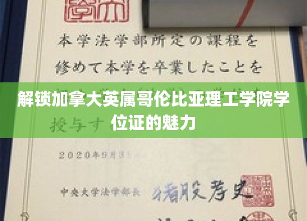 一窥加拿大英属哥伦比亚理工学院学位证的独特魅力
