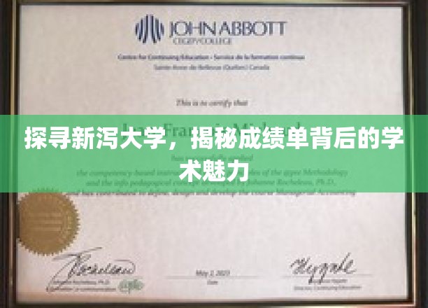 探寻新泻大学，揭秘成绩单背后的学术魅力