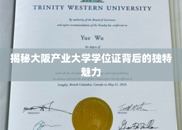 揭秘大阪产业大学学位证背后的独特魅力