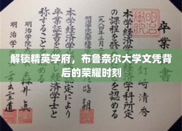 解锁精英学府，布鲁奈尔大学文凭背后的荣耀时刻
