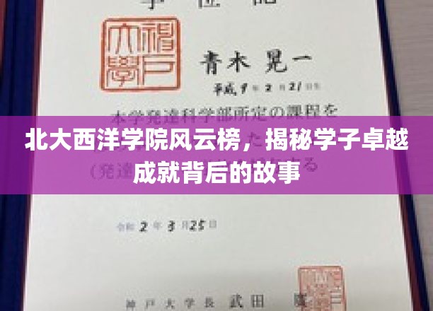 北大西洋学院风云榜，揭秘学子卓越成就背后的故事