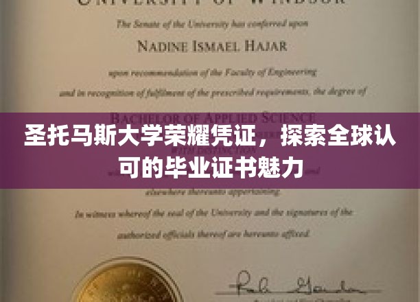 圣托马斯大学荣耀凭证，探索全球认可的毕业证书魅力