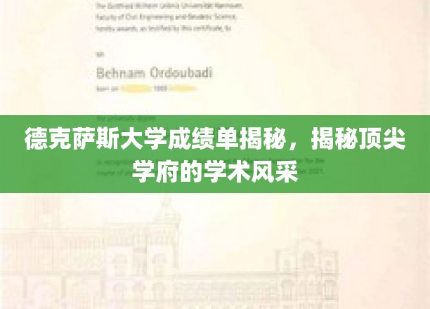 德克萨斯大学成绩单揭秘，探寻顶尖学府的学术风采