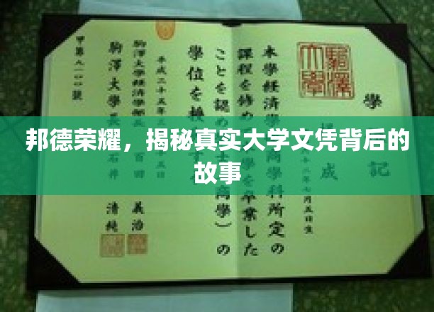 探寻邦德荣耀，揭开真实大学文凭背后的奥秘