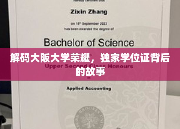 解码大阪大学荣耀，独家学位证背后的故事