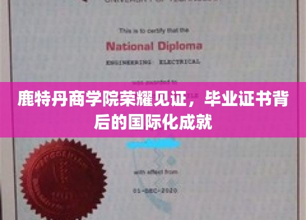 鹿特丹商学院荣耀见证，毕业证书背后的国际化成就