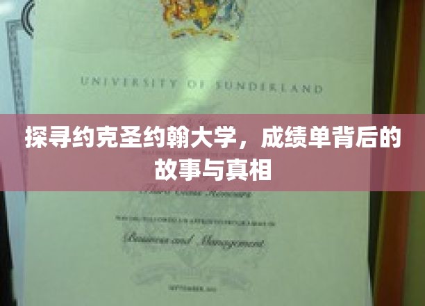 探寻约克圣约翰大学，成绩单背后的故事与真相