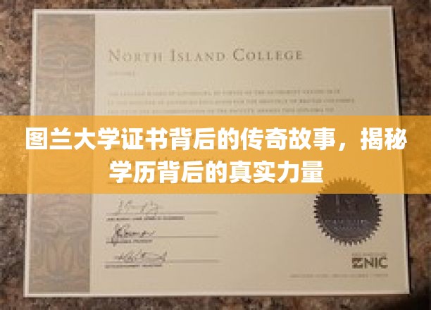 图兰大学证书背后的传奇故事，揭秘学历背后的真实力量