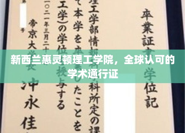 新西兰惠灵顿理工学院，全球认可的学术通行证