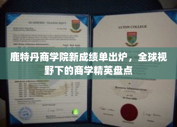鹿特丹商学院新成绩单出炉，全球视野下的商学精英盘点