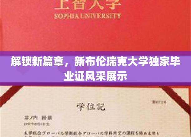 解锁新篇章，新布伦瑞克大学独家毕业证风采展示