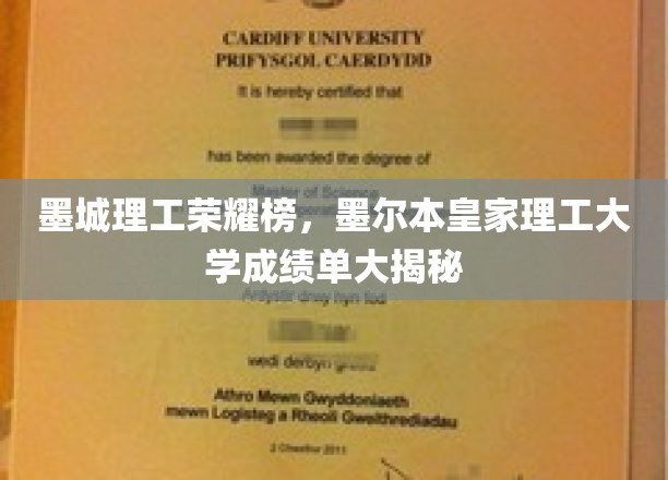 墨城理工荣耀榜，墨尔本皇家理工大学成绩单大揭秘