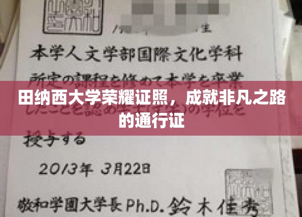 田纳西大学荣耀证照，成就非凡之路的通行证