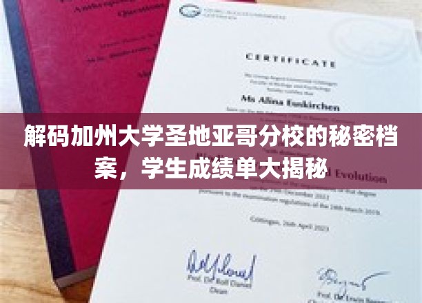 解码加州大学圣地亚哥分校的秘密档案，学生成绩单大揭秘