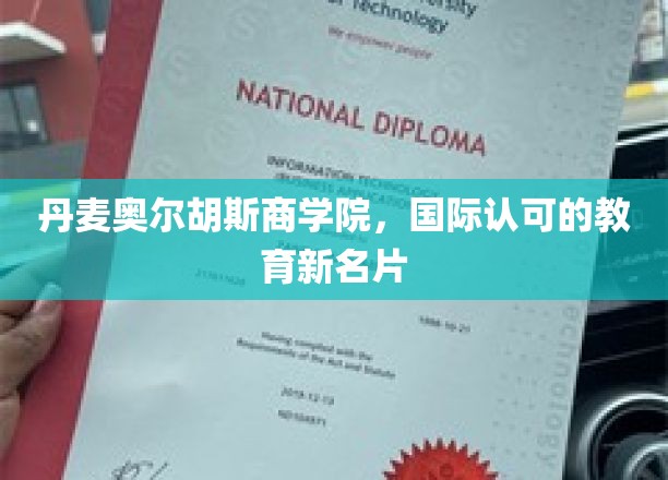 丹麦奥尔胡斯商学院，国际认可的教育新名片