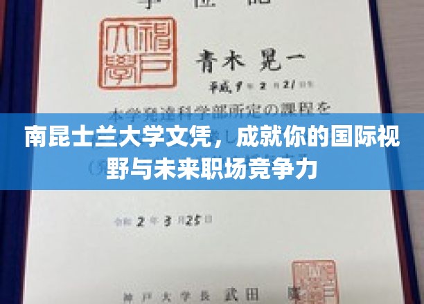 南昆士兰大学文凭，成就你的国际视野与未来职场竞争力