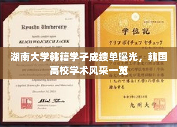 韩国湖南大学学子成绩单大揭秘，展现韩国高校学术风采