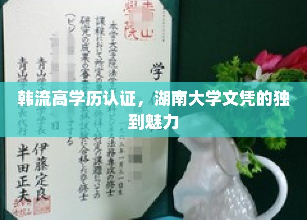 韩流高学历认证，湖南大学文凭的独特魅力